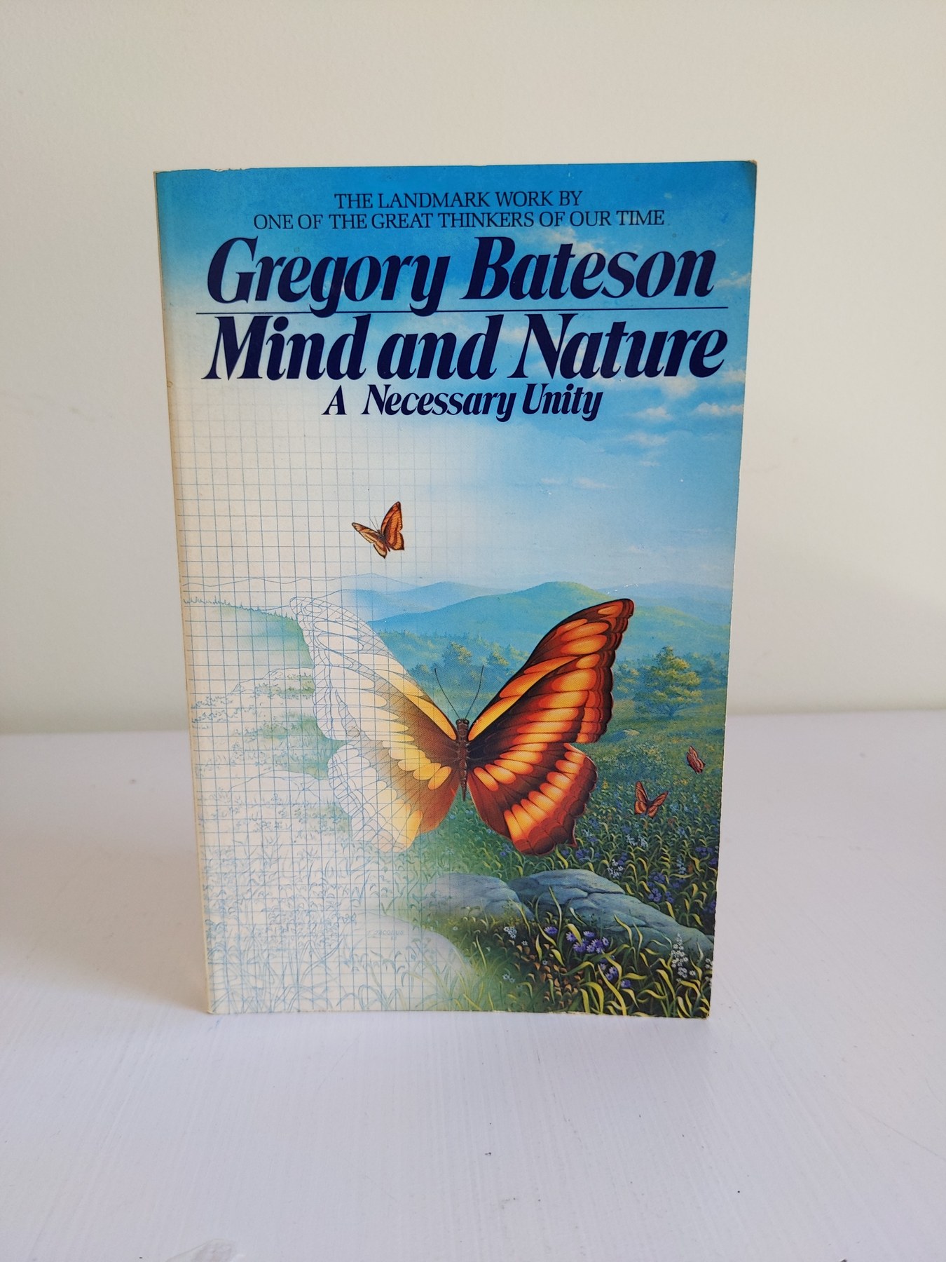 Cover image for Mind and Nature: A Necessary Unity