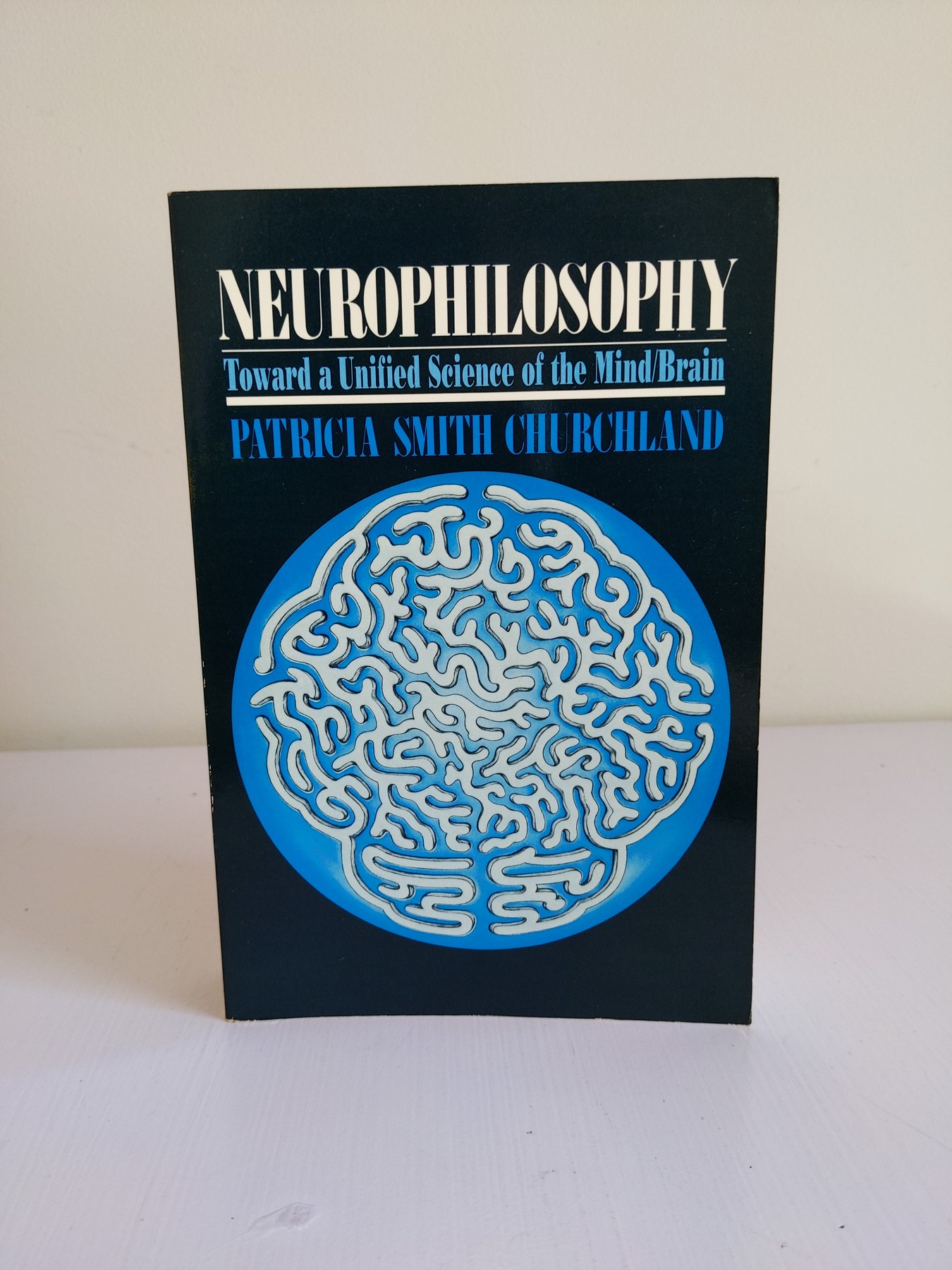 Cover image for Neurophilosophy: Toward A Unified Science of the Mind-brain