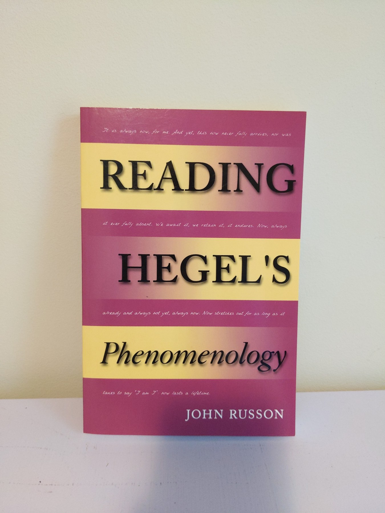Cover image for Reading Hegel's Phenomenology