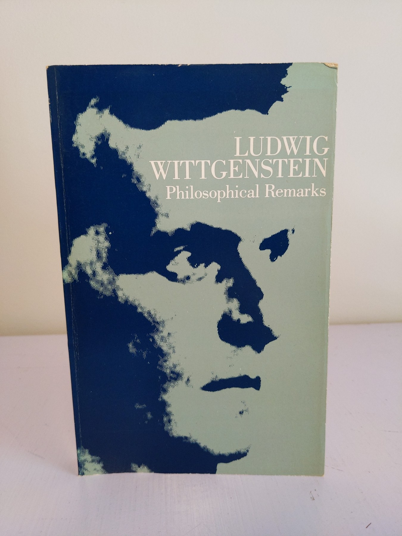 Cover image for Philosophical Remarks